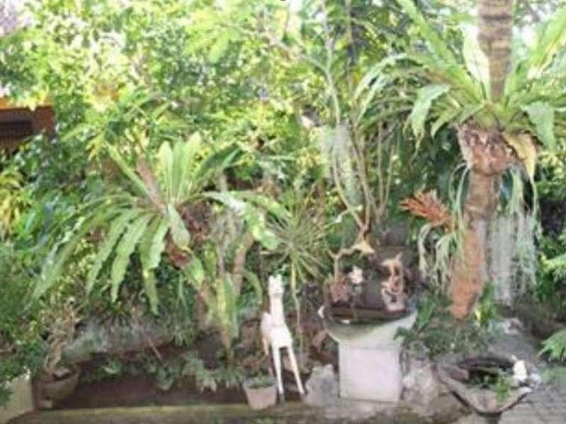 Sadru House Bed & Breakfast Ubud  Exterior photo